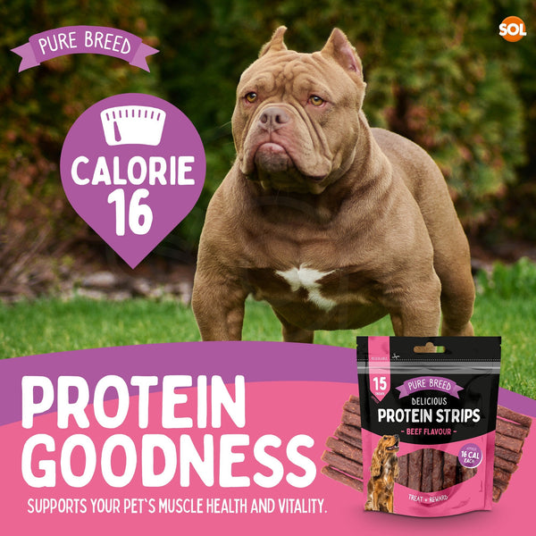 Pure Breed 12 Pack Dog Protein Strips Beef Flavour | High Protein Dog Treats | Low Calorie Soft Dog Training Treats | Resealable Bulk Dog Reward Snacks