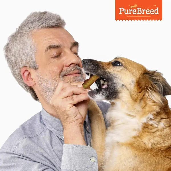 Rawhide Meat Wrapped Delicious Dog Treats, Twist Rawhide Sticks in Savoury Chicken Flavour, Puppy Chews for Reward & Training, Low Fat, High Protein Dog Chew Sticks Convenient for Travel & Walks