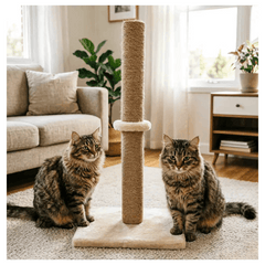 Cat Scratching Post 62CM Pole Scratcher Tree Scratch Post Woven Sisal Tall