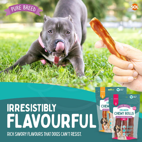 Pure Breed 12pk Medium Collagen Chewy Rolls | Long Lasting Dog Chews for Puppies & Adults | 12cm Assorted Beef & Chicken Flavour | Natural Protein-Rich Training Treats in Resealable Pack for Boredom Relief