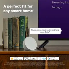 Roku Streaming Stick HD