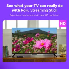 Roku Streaming Stick HD