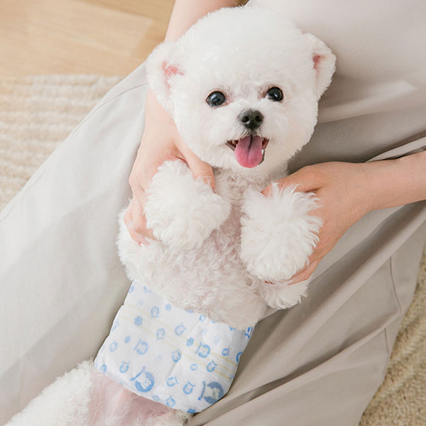 Disposable Dog Nappies Male, Male Dog Wraps, 12pcs Dog Belly Bands, Wetness Indicator, Super Absorbent, Leak-Proof, Incontinence,Stretchy Pants, 4 Size for 3 - 25kg Male Dog