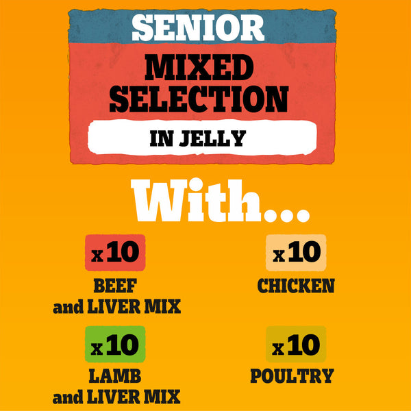 120 x 100g Pedigree Senior Wet Dog Food Pouches Mixed Selection in Jelly