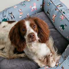 Medium Pet Bed 69Cm X 52Cm X 25Cm