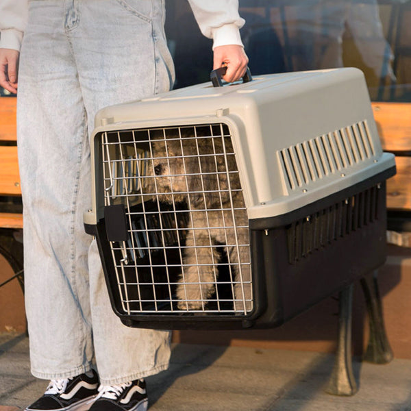Dog Cat Puppy Rabbit Pet Carrier, Plastic Dog/Cat Crate Portable Travelling Pet Kennel for Dogs, 48*32*30cm, Grey