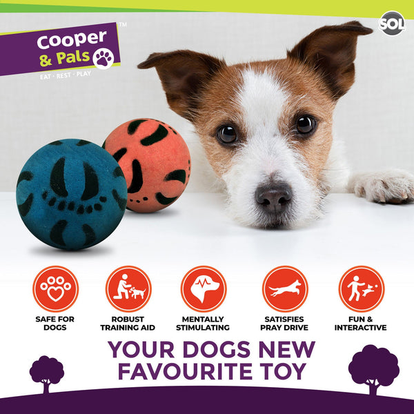 4 Pack Rubber Dog Balls | Bouncy Pet Play Balls for Dogs & Puppies | Durable Solid Rubber Fetch Toys | Brightly Coloured Dog Toy Balls for Fun Indoor & Outdoor Play