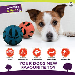4 Pack Rubber Dog Balls | Bouncy Pet Play Balls for Dogs & Puppies | Durable Solid Rubber Fetch Toys | Brightly Coloured Dog Toy Balls for Fun Indoor & Outdoor Play