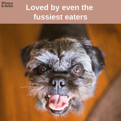 Gourmet Dog Treats - Air-Dried Sausages | Grain-Free, No Derivatives, All-Natural - 200g | Bounce & Bella