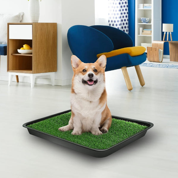 Goldouya Pet Potty Grass Mat with Tray, Complete Potty System for Indoor/Outdoor Puppy Training, Reusable Pet Litter Box Training Pads