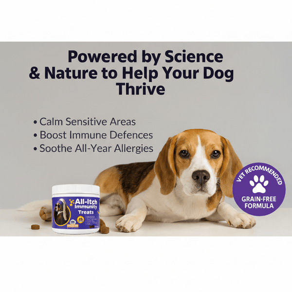 MAXBOX ALL Itch & Immunity Treats for Dogs, Itch Dog Treat, Supplement Chews for maintain from Itching & Scratching. Soothes irritated paws, skin, ears, and eyes