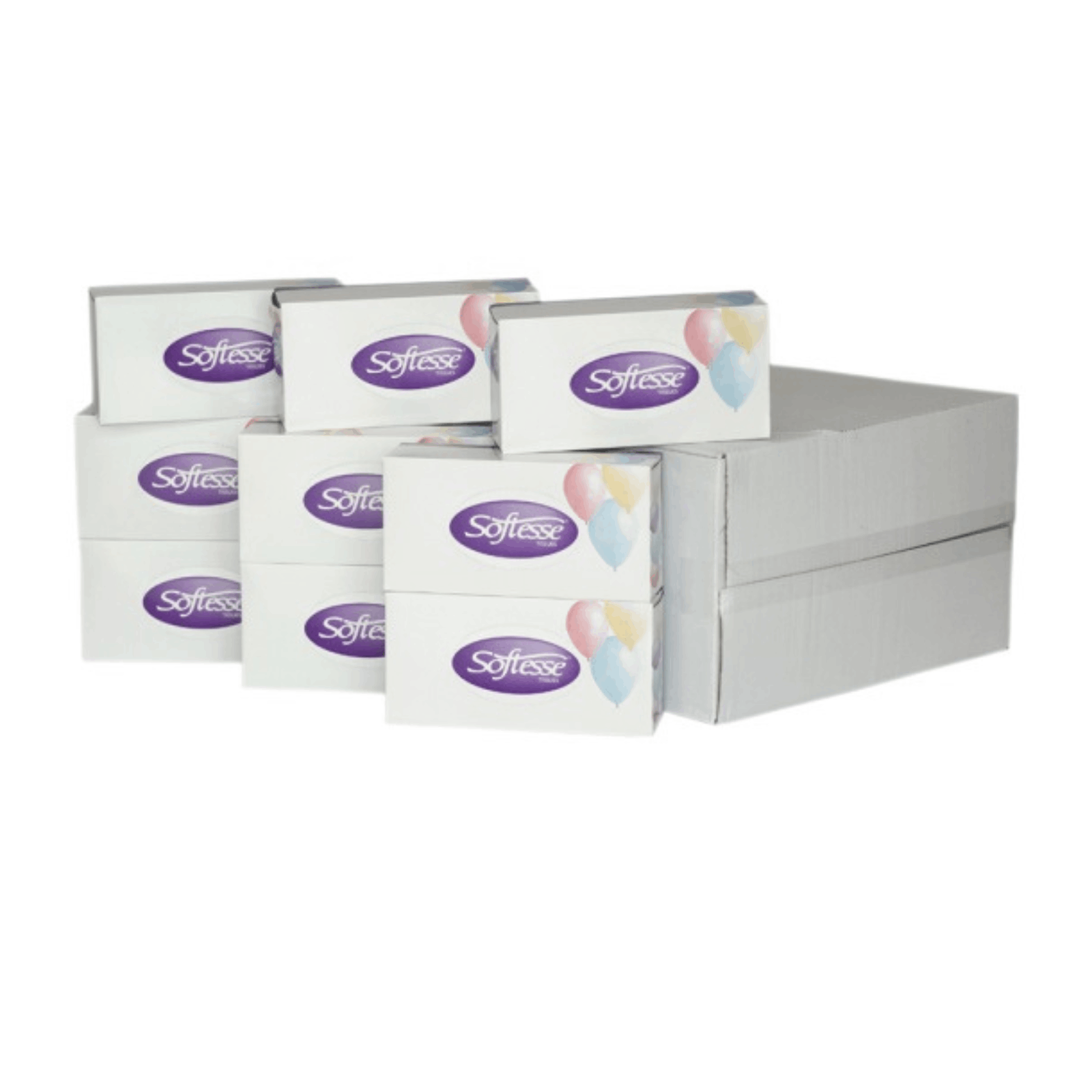 Softesse Facial Tissue Boxes 24 Packs 2 Ply Soft Absorbent Facial Family Size Boxes