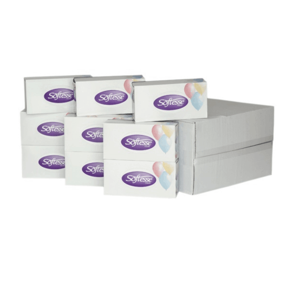 Softesse Facial Tissue Boxes 24 Packs 2 Ply Soft Absorbent Facial Family Size Boxes