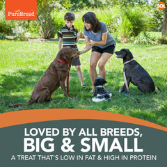 Pure Breed 50 Pack Chicken Dog Treats | Rawhide Twist Chew Sticks for Dogs & Puppies | Meaty Twist Dog Chews in Savoury Chicken Flavour | Low Fat, High Protein Dog Snacks | Long Lasting Puppy Chews for Training Rewards, Travel & Boredom Busting Indoor or