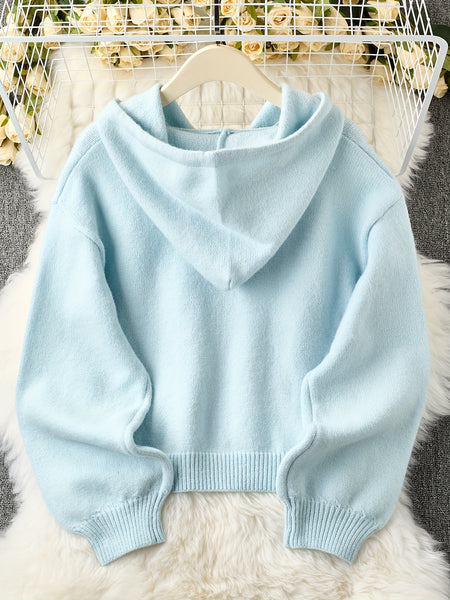Cardigan Hooded Sweater for Women, Unique Niche Style Top, Gavin