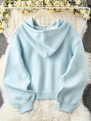 Cardigan Hooded Sweater for Women, Unique Niche Style Top, Gavin