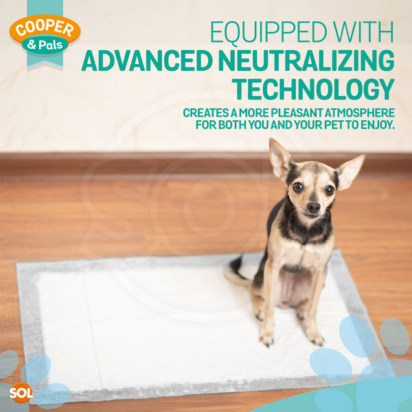 400 Pack Puppy Training Pads 45x60cm | Super Absorbent Leak-Proof Dog Pee Pads | Odor Control & Moisture Lock Layers | Disposable Indoor Pet Training Pads for Puppies & Small Dogs