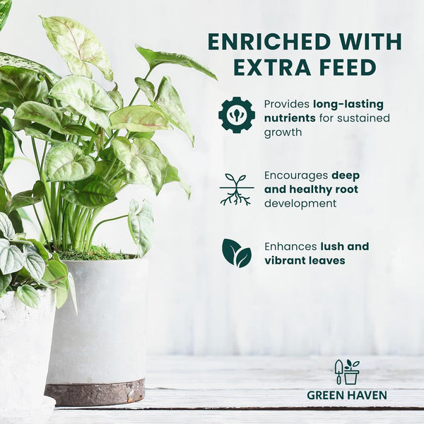 10L Peat Free Multi Purpose Compost Soil for Indoor Plants, Houseplant Potting Mix for Repotting, Herbs & Flowers, Nutrient Enriched All Purpose Plant Soil for Pots & Planters