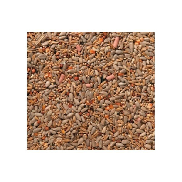 J & J Premium Wild Bird Food Wheat Free with Suet 1kg High Energy Garden Bird Feed Mix for Outdoor Feeders & Bird Tables