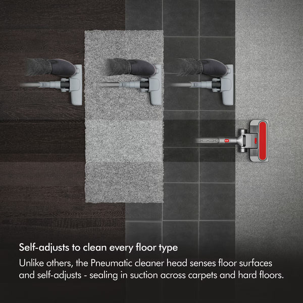 Dyson Big Ball Animal 2 Cylinder Vacuum