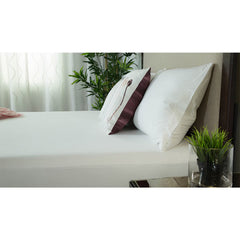 Protect-A-Bed Tencel Cool Pillow Protector 75 X 50 Cm, 2 Pack