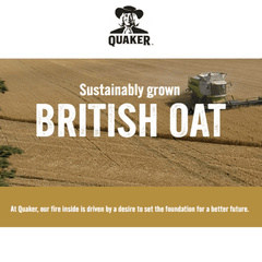 Quaker Oat So Simple Golden Syrup Porridge – 50 x 36g Sachets – Instant Oats with Sweet Flavour – Quick & Easy Breakfast