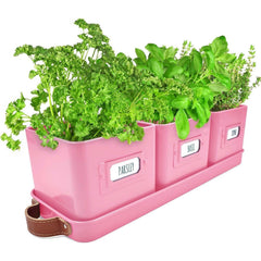 Herb Pots for Kitchen Windowsill - Set of Herb Planter Indoor with Leather Handled Tray - Ideal for an Indoor Herb Garden, Plants and Flowers - Labels Included
