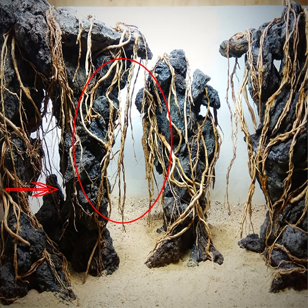 A Collection of Driftwood Pieces for Aquarium Decoration, Perfect for Creating a Natural Landscape in Your Fish Tank