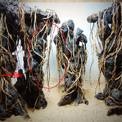A Collection of Driftwood Pieces for Aquarium Decoration, Perfect for Creating a Natural Landscape in Your Fish Tank