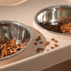Dog Bowls with Stand, Adjustable Raised Dog Bowl for Large Dogs, Dog Feeding Station with 2 Stainless Steel Dog Bowls, Non-Slip elevated dog bowls