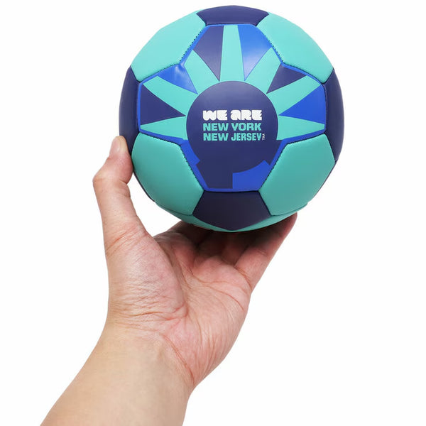FIFA World Cup 2026 Host City Footballs (16 Pc Set)