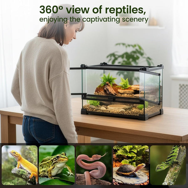 Glass Reptile Terrarium Insect Breeding Tank Vivarium Habitats for Lizards, Horned Frogs, Snakes, Spiders Reptile Glass Terrarium Tank Amphibians Box (Horizontal)