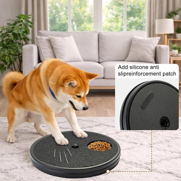 Multifunctional Dog Nail Scratch Pad Dog Nail Grinder Alteractive, Interactive Dog Food Dispenser Plate Toy, Dog Training Plate Bowl