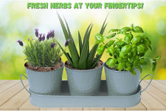 Trendi – Set of 3 Metal Plant Pots with Drip Tray | Embossed Indoor & Outdoor Plant Pots for Garden, Windowsill, Kitchen & Desk | Decorative Metal Flower Pots for Herbs & Plants | Light Grey