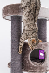 Pet Rebels Charlotte Cat Tree Cappuccino – 180 cm – XL