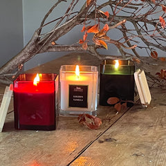 Torc Fragranced Candle, 3 Pack