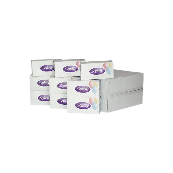 Softesse Facial Tissue Boxes 24 Packs 2 Ply Soft Absorbent Facial Family Size Boxes