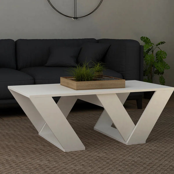 Aiysha Coffee Table