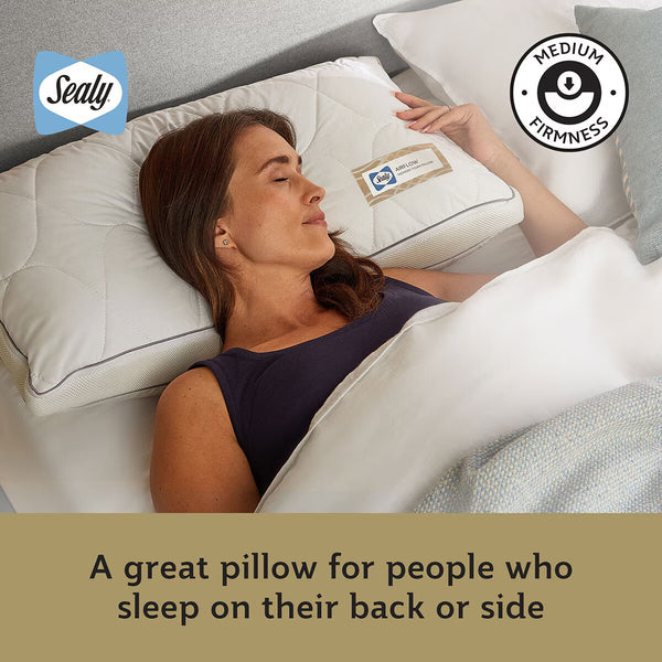 Sealy Memory Airflow Pillow