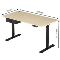 Electric Standing Desk, Sit Stand Table, Height Adjustable Electric Standing Computer Desk with USB Charging Port and Desk Drawer for Home Office