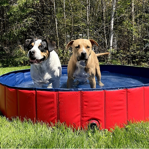 Heavy Duty Dog Swimming Pool, Dog Paddling Pool, PVC Board Pet Pool Quick Setup, Drainage Hole & Thickened Bottom For Small/Large Dogs Indoor & Outdoor Use