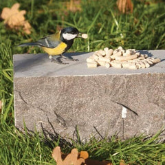 Suet To Go Insect Suet Pellets 550g High Energy Wild Bird Food For All Year Feeding