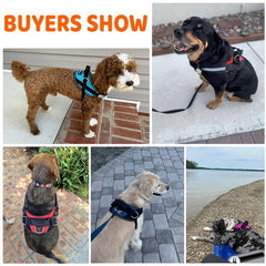 Adjustable Dog Harness for Small & Large Dogs - Reflective Nylon Vest with Striped Design, D-Ring Leash Attachment, and 