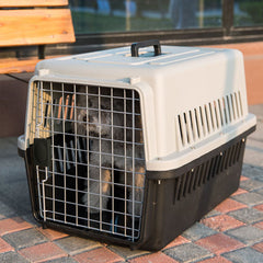 Dog Cat Puppy Rabbit Pet Carrier, Plastic Dog/Cat Crate Portable Travelling Pet Kennel for Dogs, 48*32*30cm, Grey