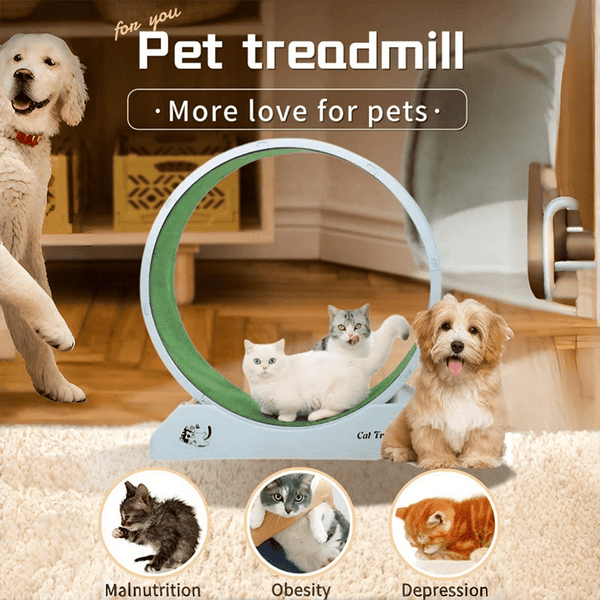 1pc Indoor Assembly Cat Roller Treadmill, Silent Fitness Cat Treadmill Wheel, Plastic Treadmill for Pet Cats, Easy to Assemble and Clean