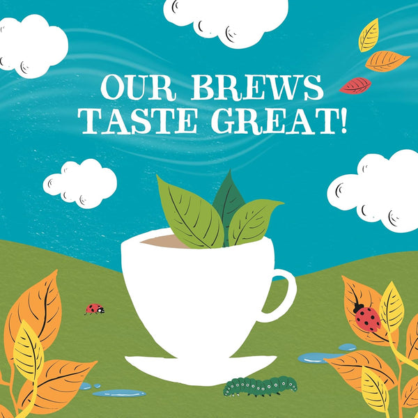 Clipper Organic Everyday Fairtrade Teabags | Black Tea Bags | Natural, Unbleached, Plant-Based Biodegradable & Sustainable Teabags | Eco Conscious, Non GM & Fair Trade Tea (80 Teabags)