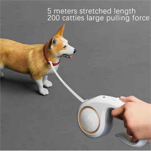 Retractable Dog Leash with 5M Extendable Strap Tangle-Free 360° Design, Adjustable Training Lead for Small to Large Dogs
