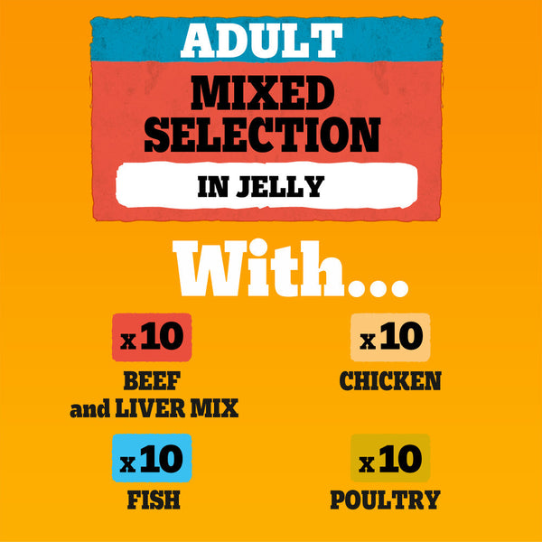 120 x 100g Pedigree Adult Wet Dog Food Pouches Mixed Selection in Jelly