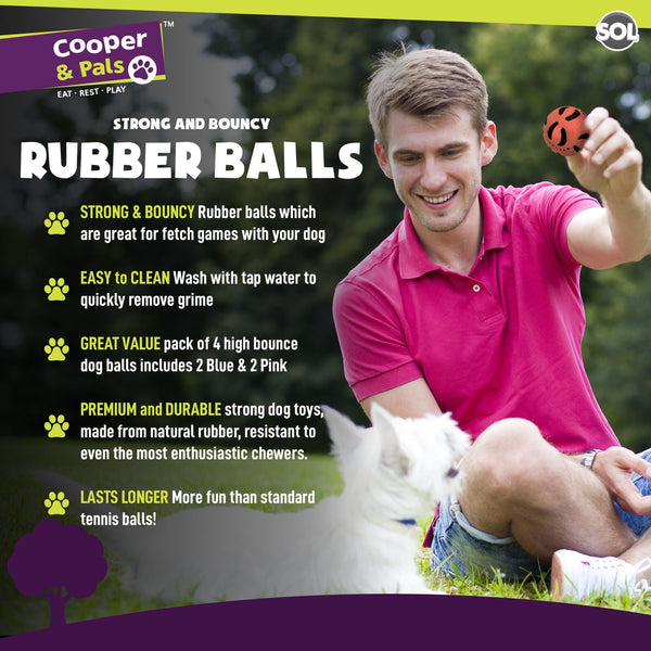 4 Pack Rubber Dog Balls | Bouncy Pet Play Balls for Dogs & Puppies | Durable Solid Rubber Fetch Toys | Brightly Coloured Dog Toy Balls for Fun Indoor & Outdoor Play