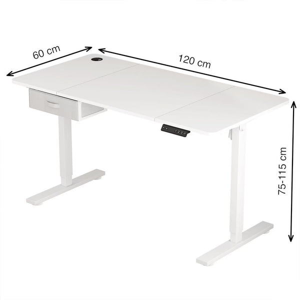 Electric Standing Desk, Sit Stand Table, Height Adjustable Electric Standing Computer Desk with USB Charging Port and Desk Drawer for Home Office